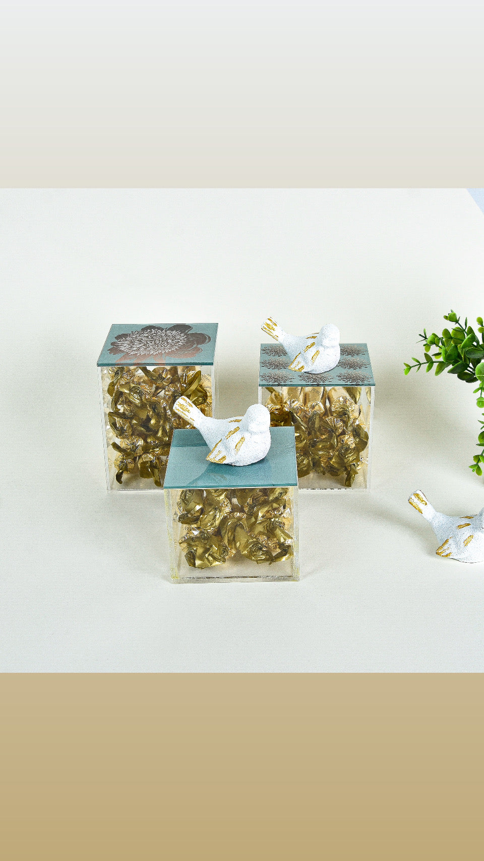 Bird & Flower Gold Accents – Acrylic Box Set of 3