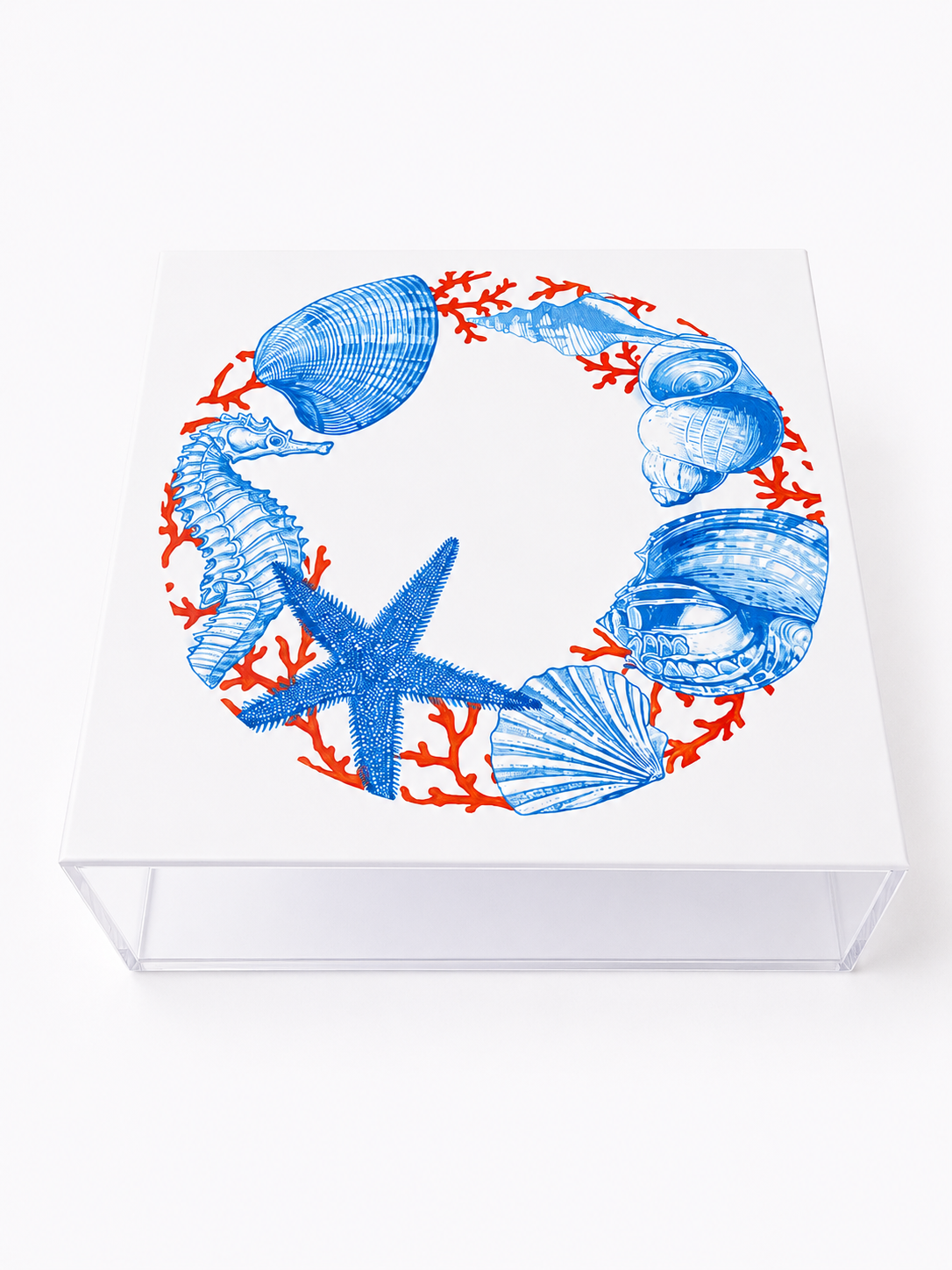 Mediterranean Sea Life Square Plexiglass Box