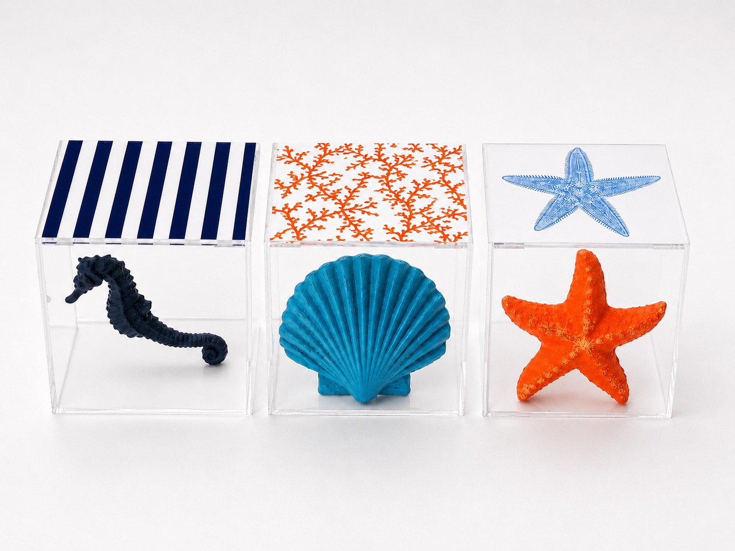 Mediterranean Sea Life Plexiglass Boxes Set of 3