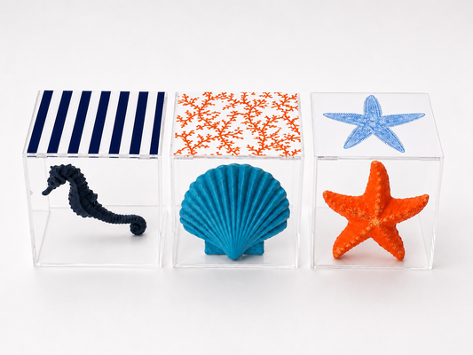 Mediterranean Sea Life Plexiglass Boxes Set of 3