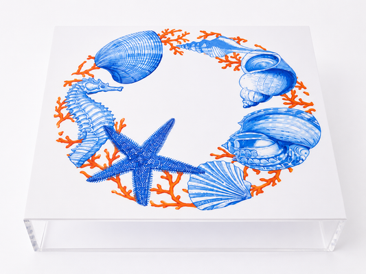 Mediterranean Sea Life Square Plexiglass Box
